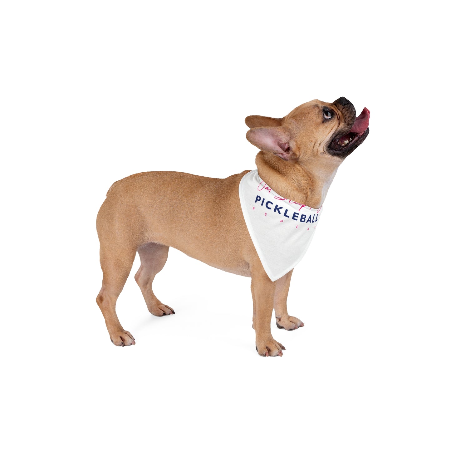 Eat Sleep Play Pickleball Pet Bandana