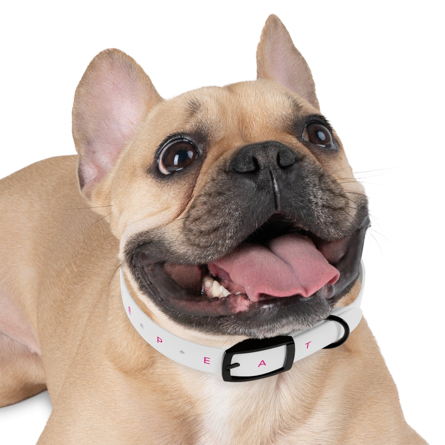 Eat Sleep Play Pickleball Dog Collar