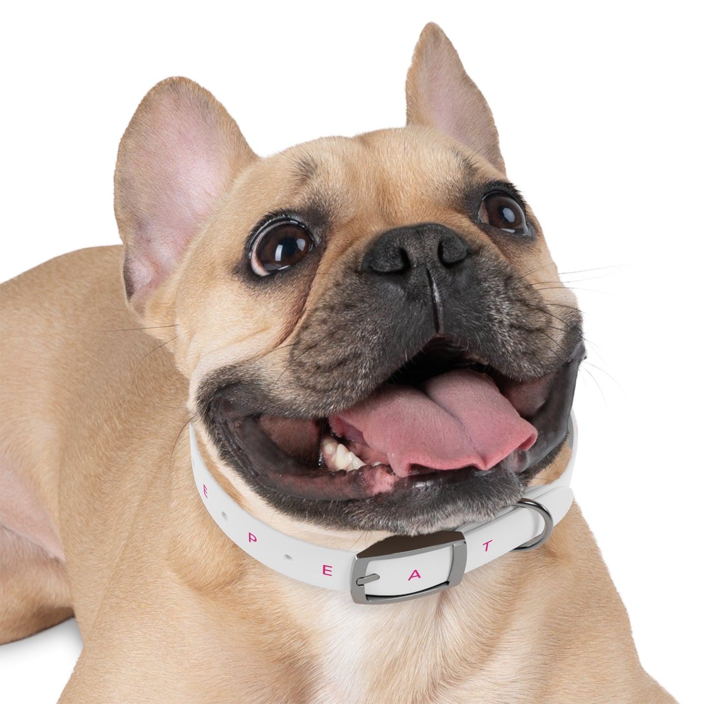 Eat Sleep Play Pickleball Dog Collar