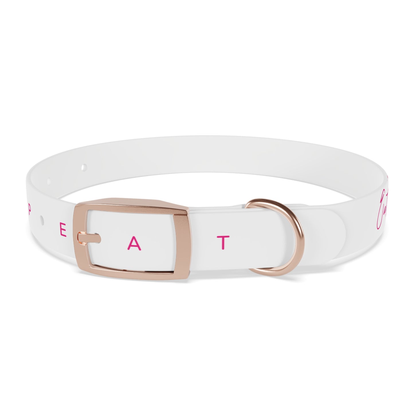 Eat Sleep Play Pickleball Dog Collar