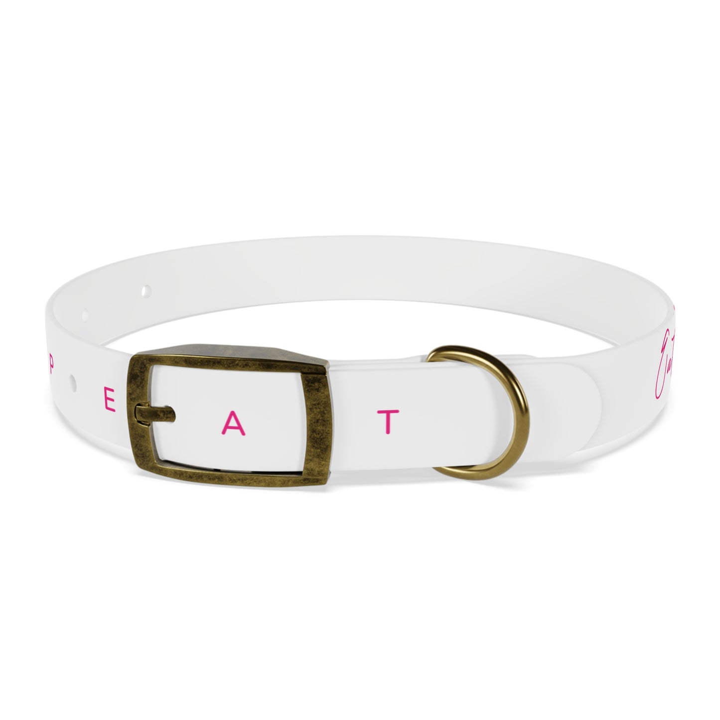 Eat Sleep Play Pickleball Dog Collar